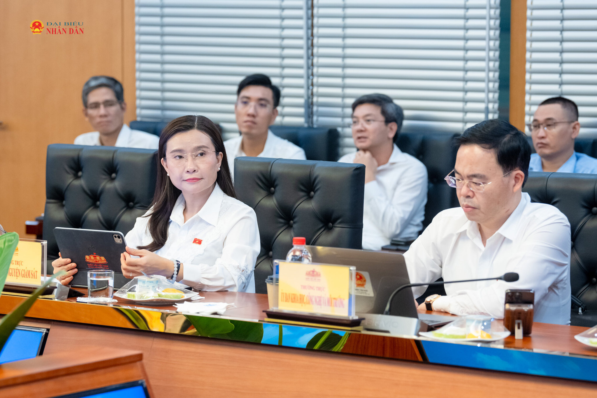 Đại biểu tham dự cuộc làm việc