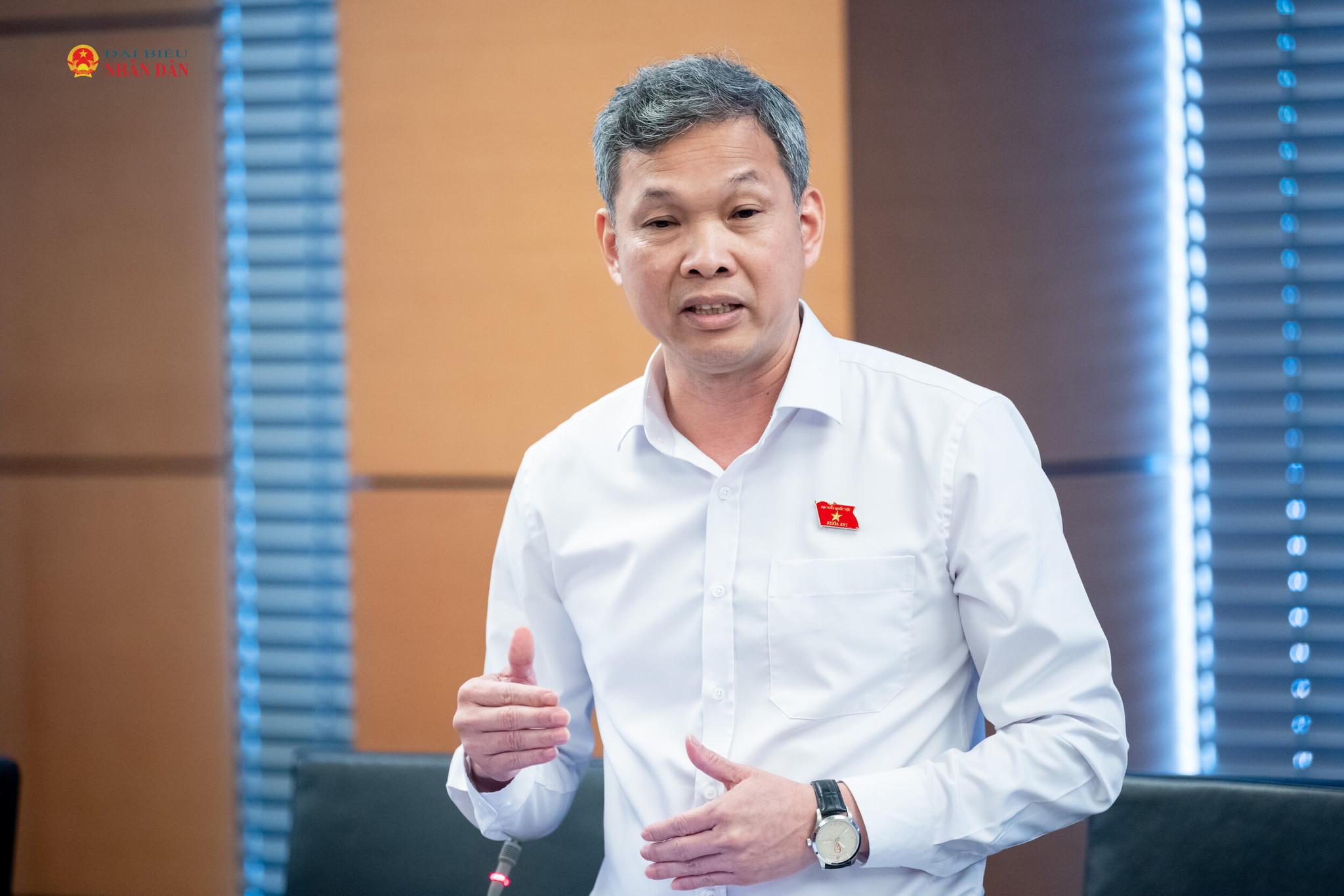 ĐBQH Tạ Văn Đẹp (TP. Hồ Chí Minh) phát biểu thảo luận tại Tổ 2