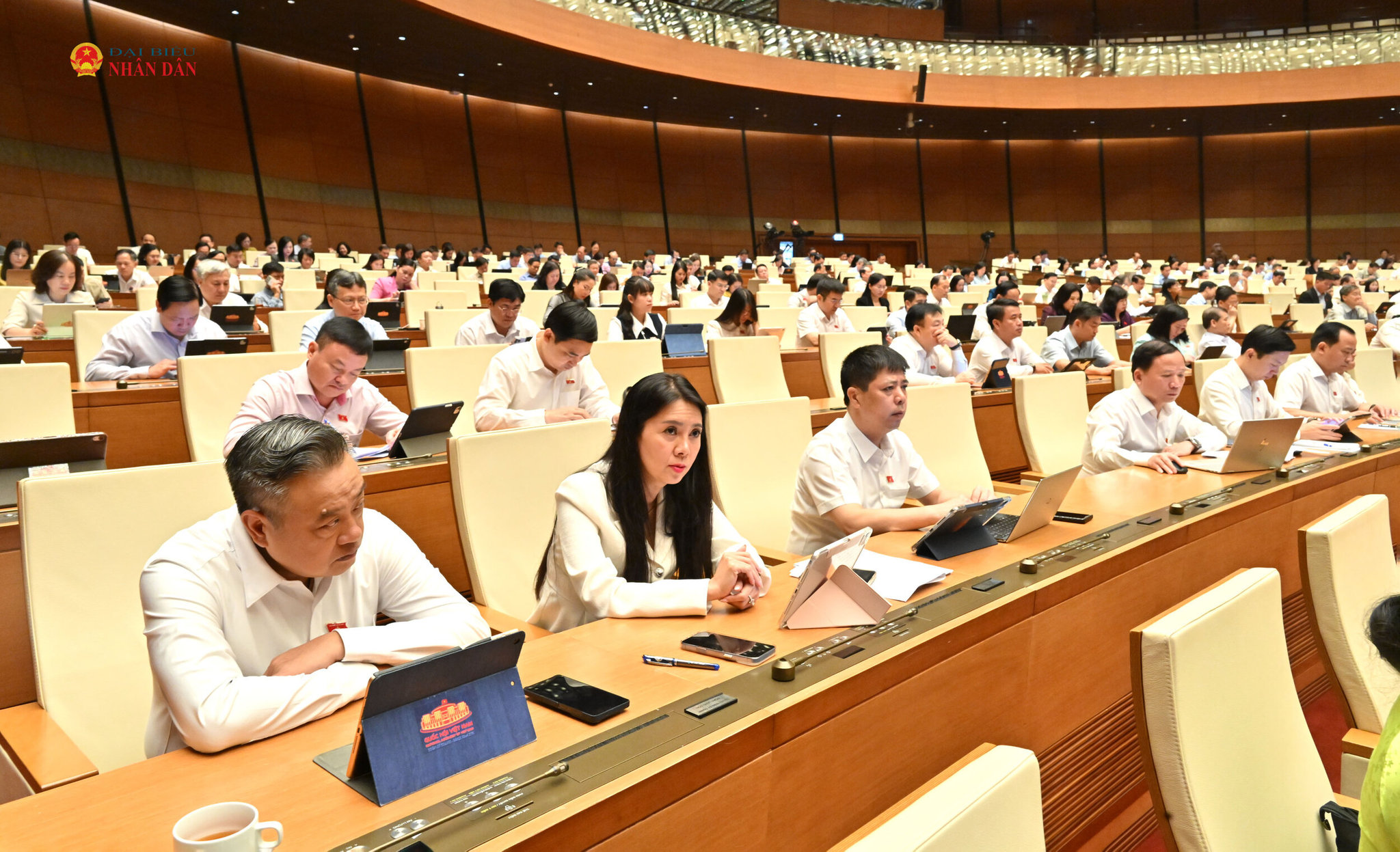 Các đại biểu dự phiên họp