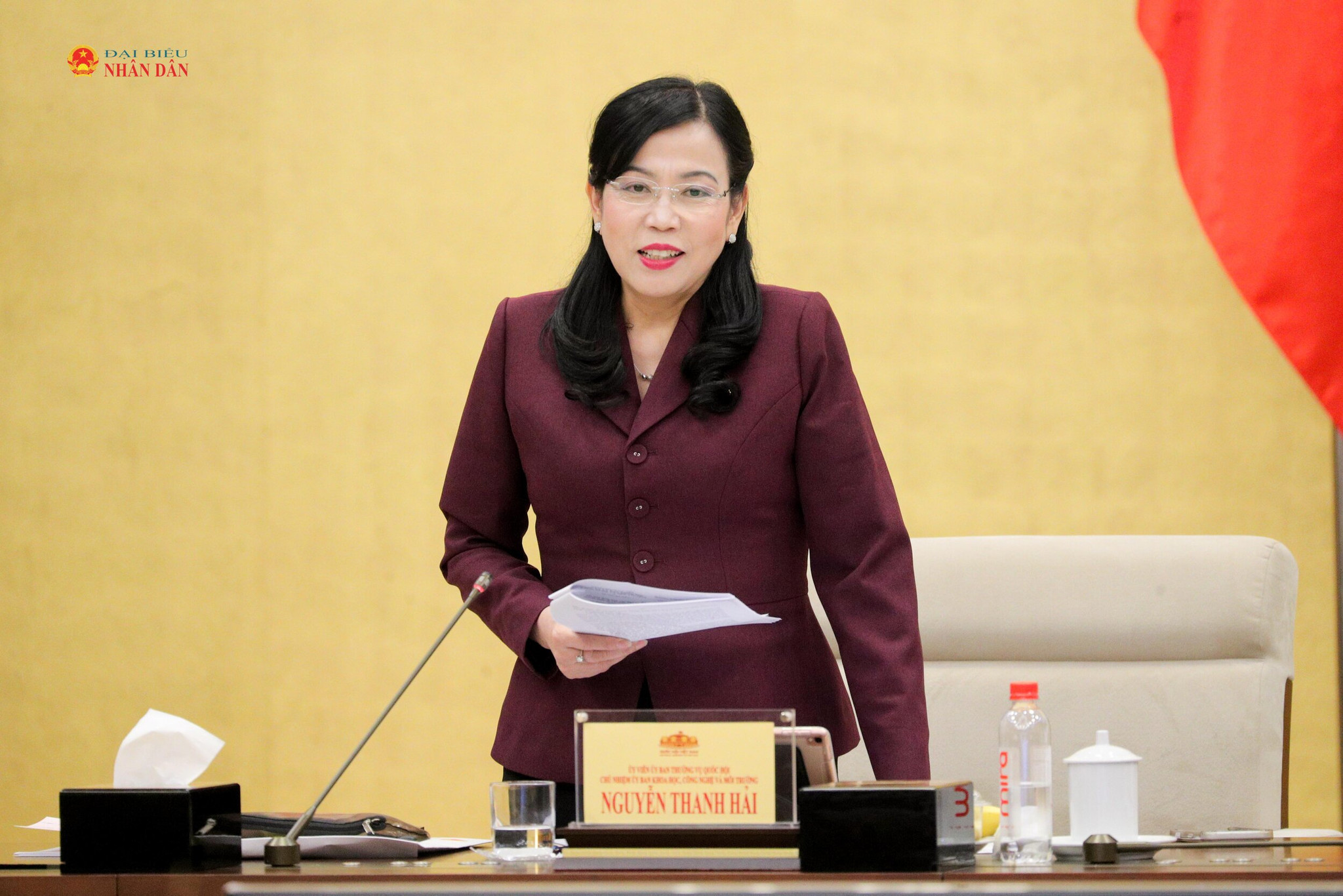 Chủ nhiệm Ủy ban Khoa học, Công nghệ và Môi trường Nguyễn Thanh Hải. Ảnh Hồ Long