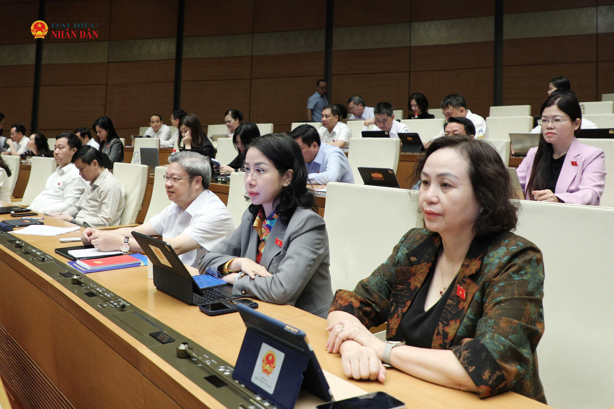 Các đại biểu dự phiên họp