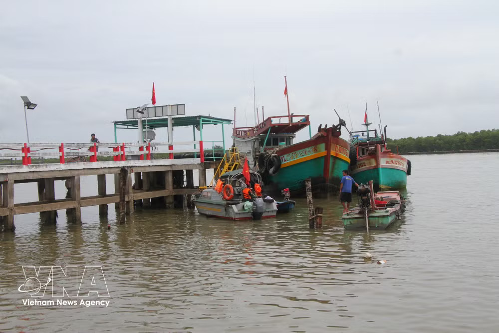 Fishermen's boats anchor at Ganh Hao Border Guard Station to complete departure and arrival procedures (Photo: VNA) vnanet-iuu1.jpg