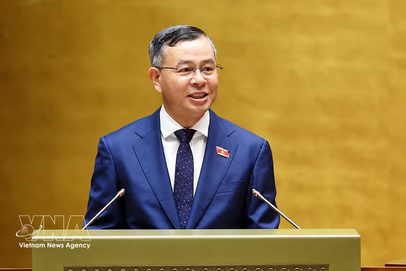 Minister of Finance Ngo Van Tuan (Photo: VNA)