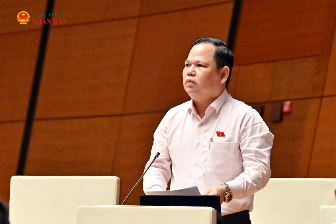 ĐBQH Nguyễn Duy Thanh (Cà Mau) phát biểu
