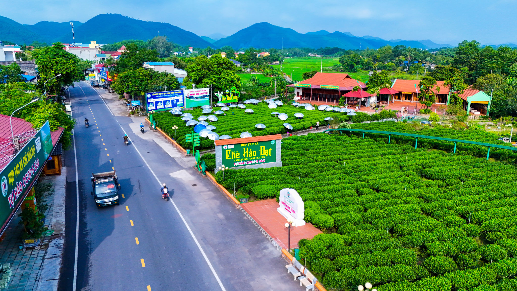 Hợp tác xã chè Hảo Đạt, Tân Cương, Thái Nguyên