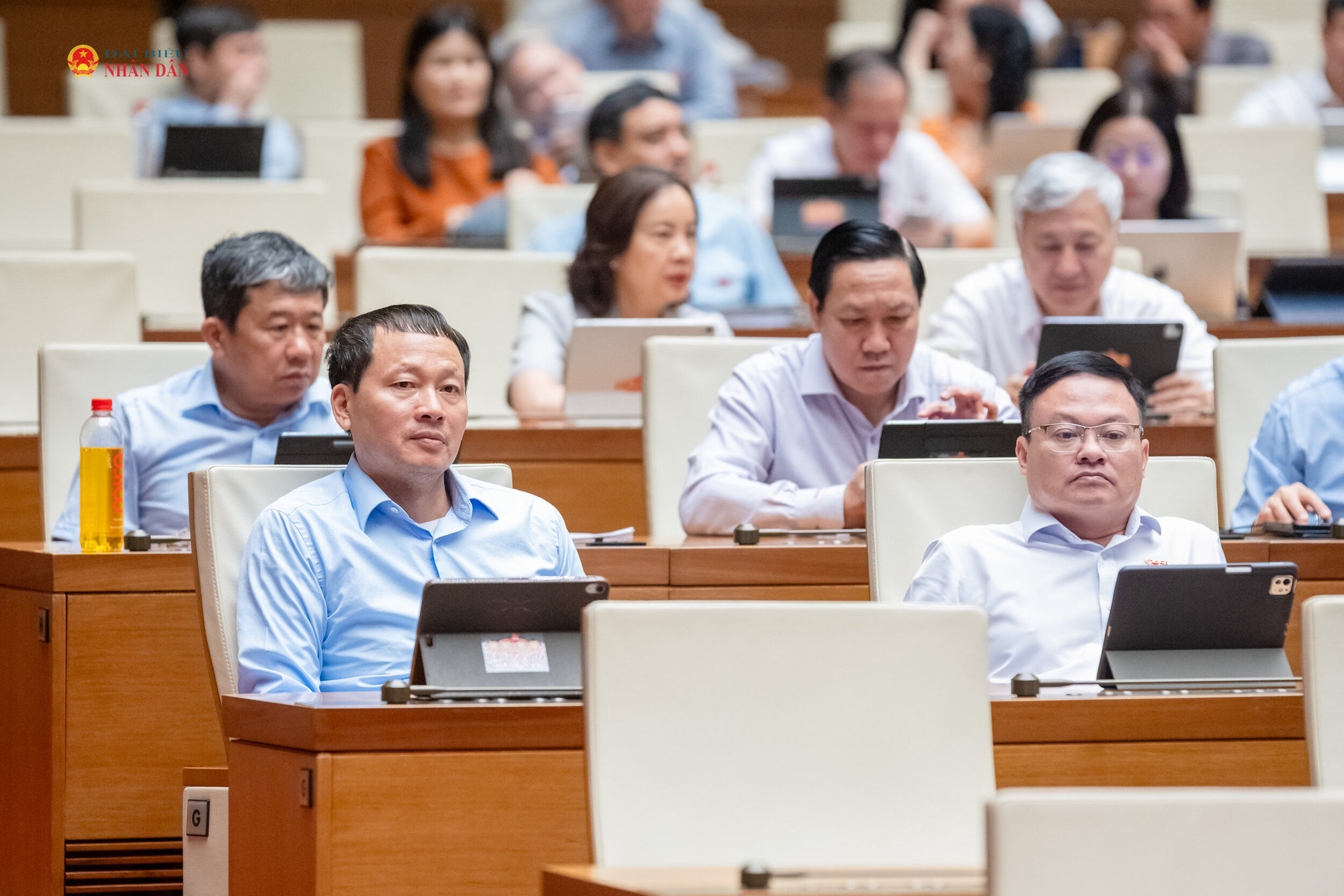 Các đại biểu tham dự phiên họp