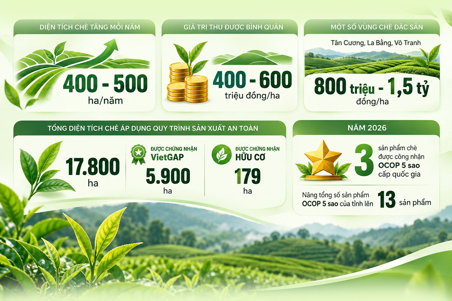 Trà Thái Nguyên - Hành trình chưa kể