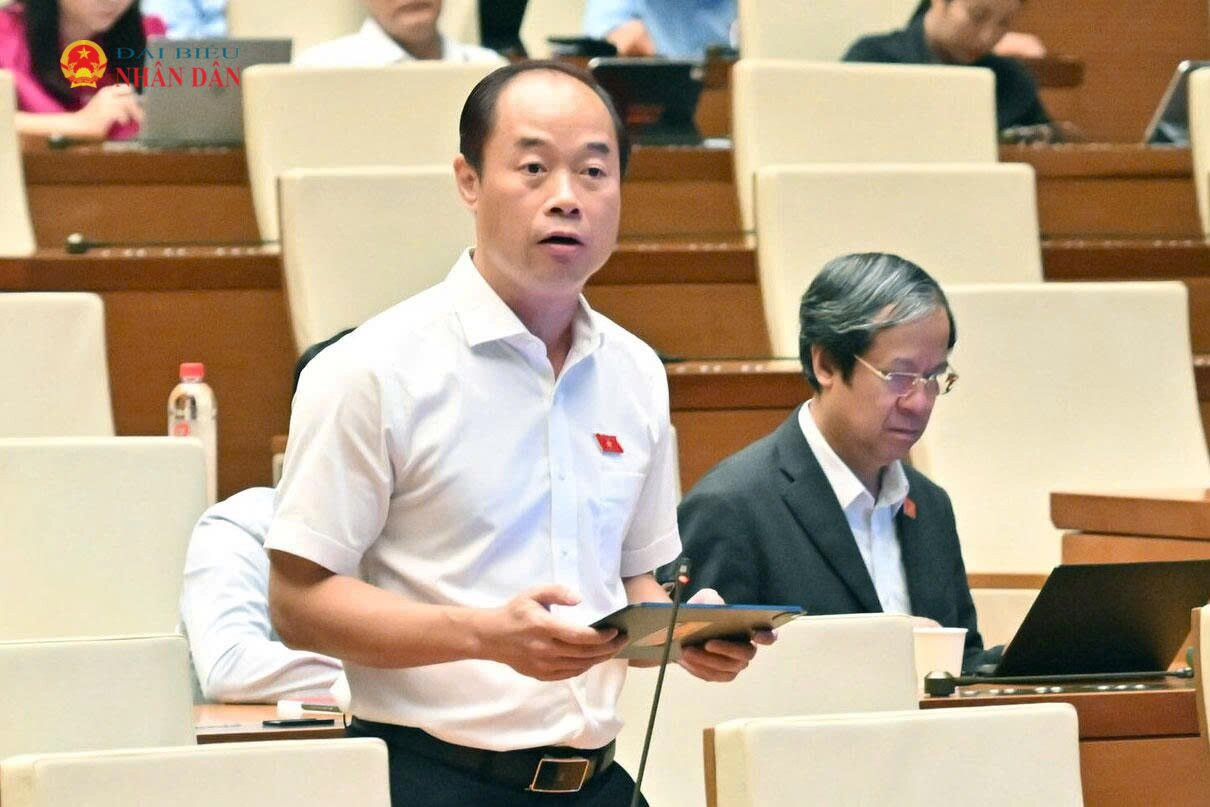 ĐBQH Bùi Mạnh Cường (Khánh Hòa) phát biểu