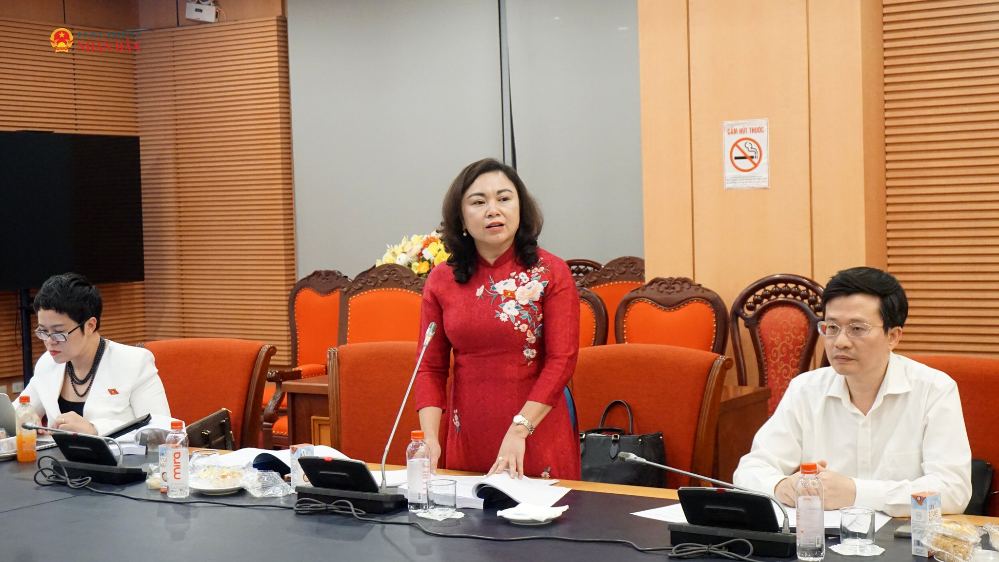 ĐBQH Đặng Thị Bích Ngọc phát biểu