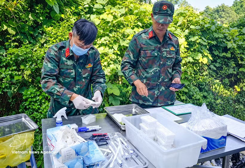 Collecting samples for DNA testing (Photo: VNA)