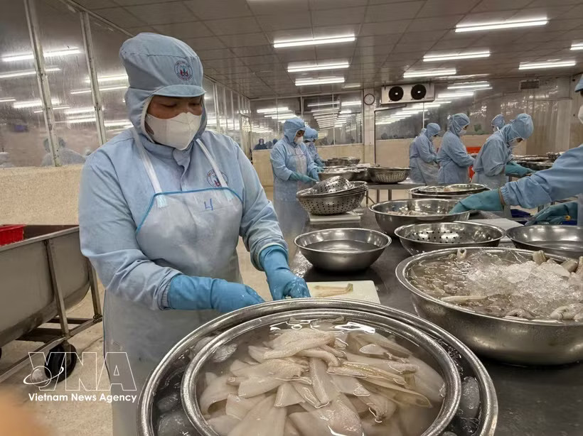 Fish processing for export to Japan (Photo: VNA)