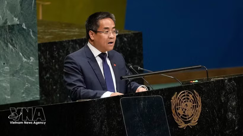 Minister-Counsellor Nguyen Hai Luu, Deputy Permanent Representative of Vietnam to the UN (Photo: VNA)