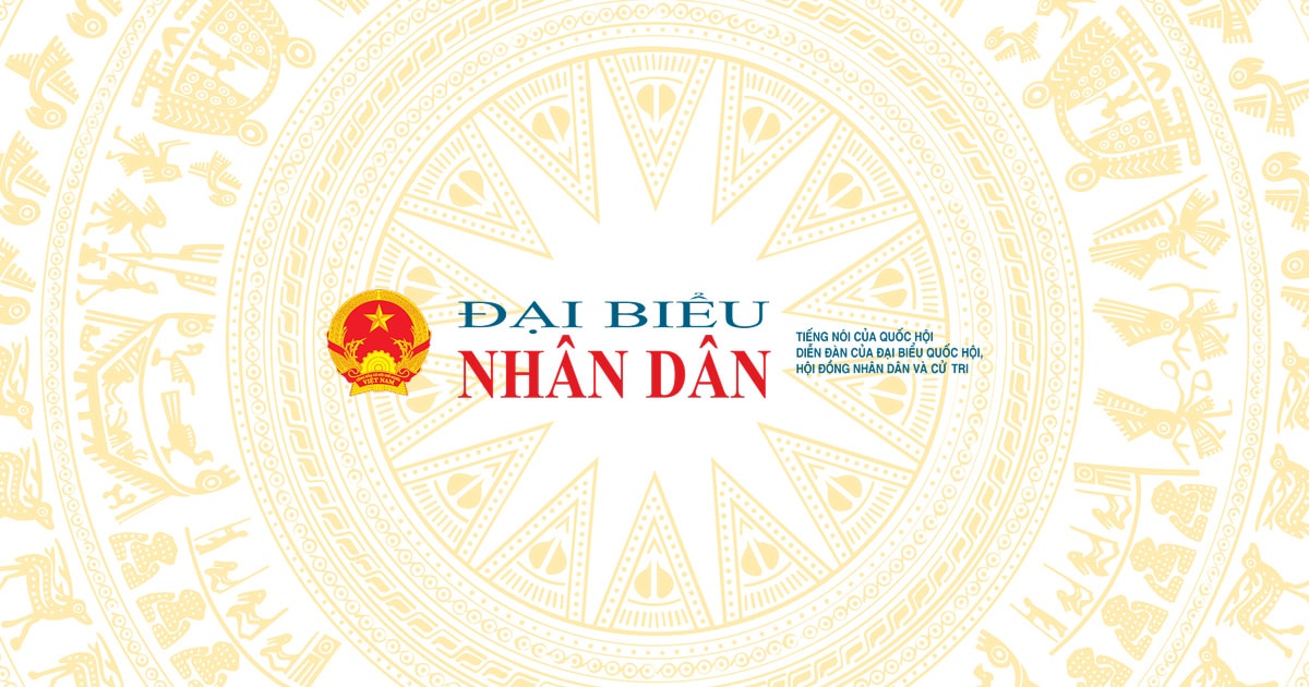 daibieunhandan.vn