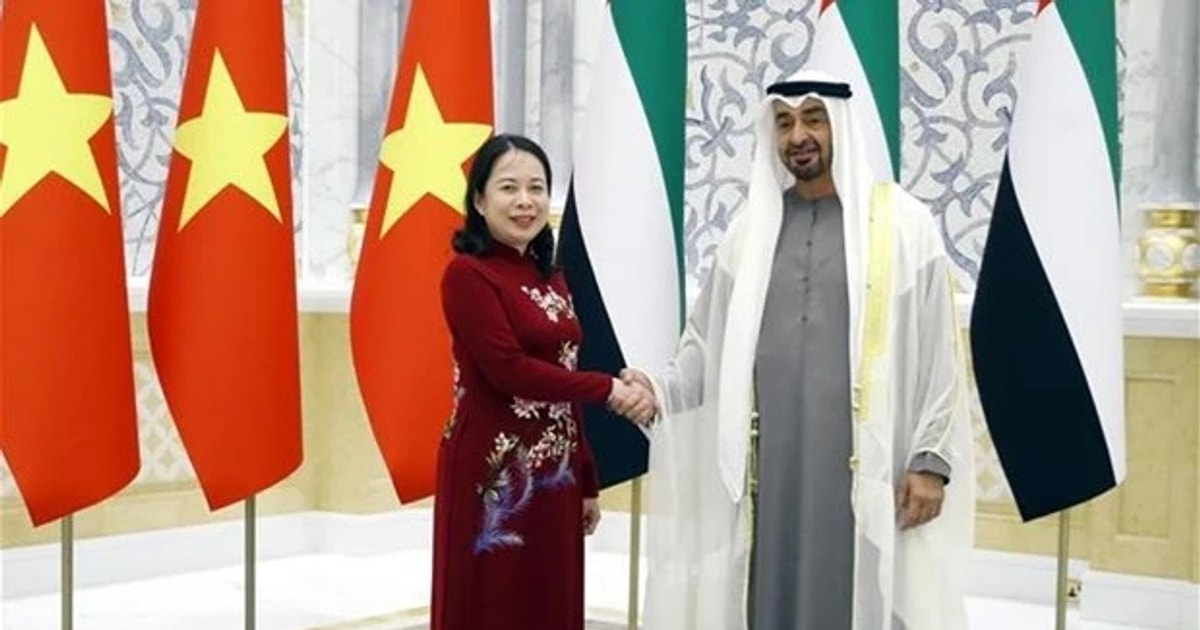 Vice State President meets with President of UAE