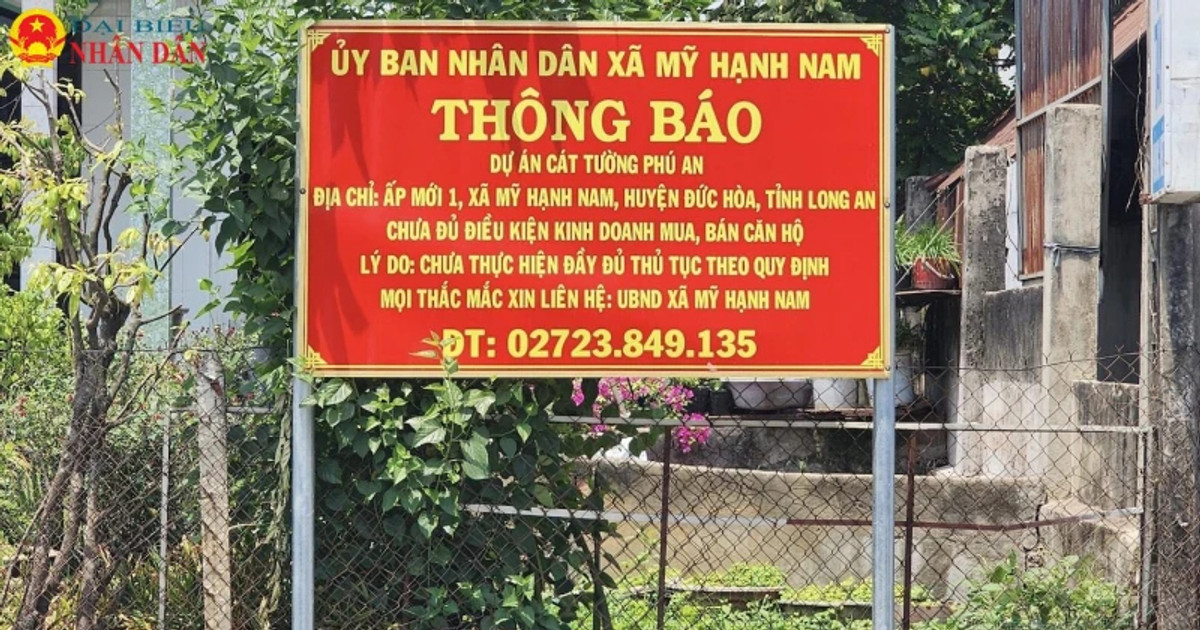 daibieunhandan.vn