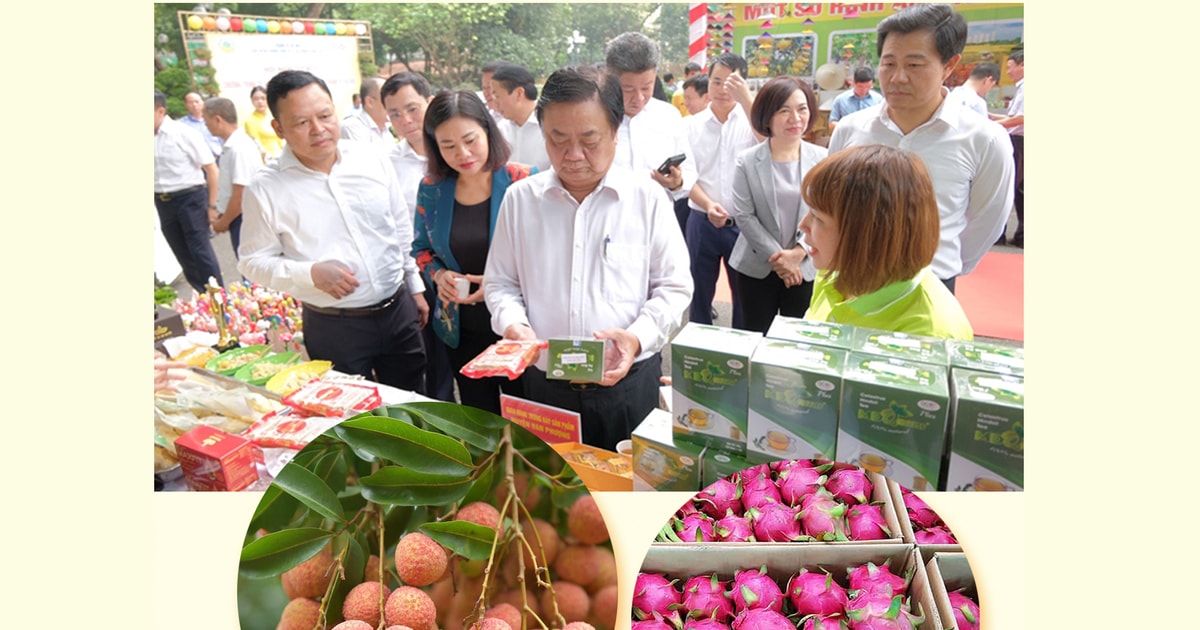 “Cái rổ” nhiều món và bài học chọn “món chủ lực”