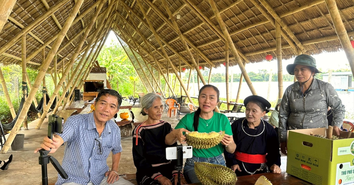 Đắk Lắk: Nữ Bí thư xã sẽ cùng người dân livestream bán sầu riêng