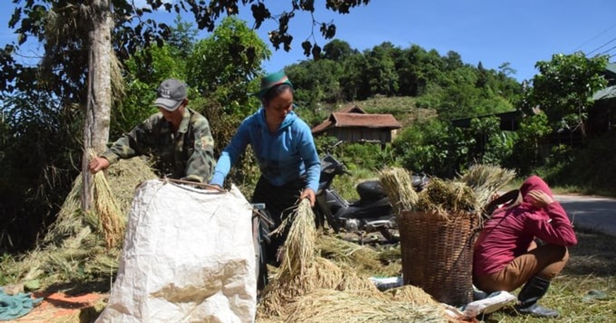 Nghệ An: Gỡ khó trong phát triển mô hình hợp tác xã, tổ hợp tác vùng dân tộc thiểu số và miền núi