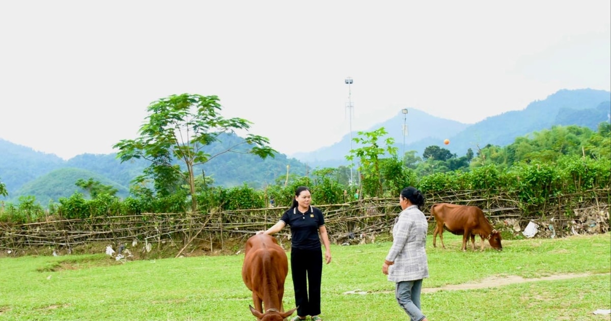 Nghệ An hoàn thành nhiều mục tiêu giảm nghèo bền vững
