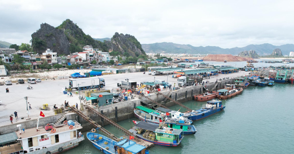 Quảng Ninh: Mở cảng cá Cái Rồng tại đặc khu Vân Đồn