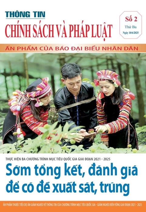 Chính sách pháp luật số 2
