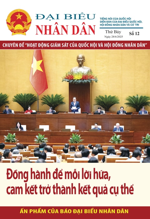 Số 12 Chuyên đề "Hoạt động giám sát của Quốc hội và Hội đồng Nhân dân"