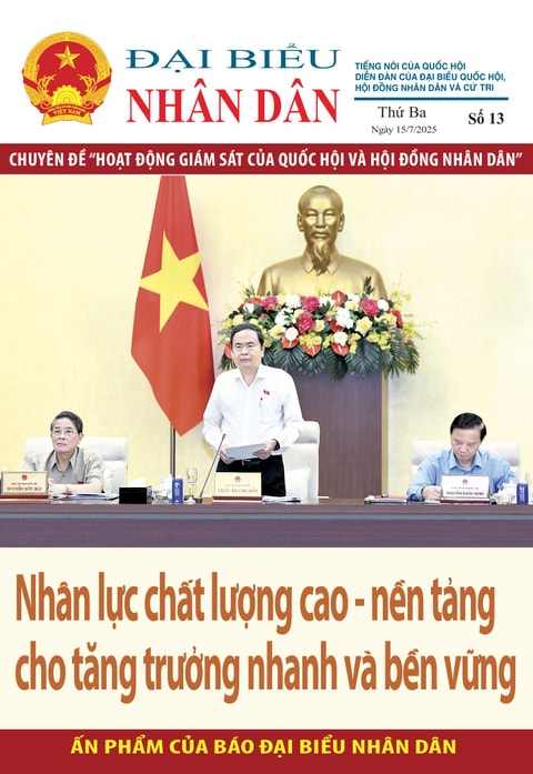 Số 13 Chuyên đề "Hoạt động giám sát của Quốc hội và Hội đồng Nhân dân"