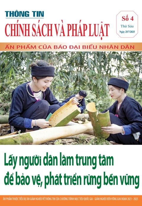Số 4 - Thông tin Chính sách và Pháp luật