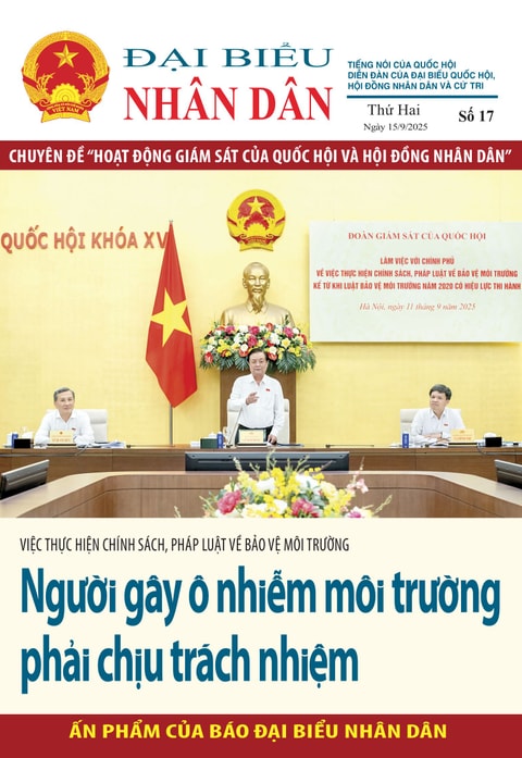 Số 17 Chuyên đề "Hoạt động giám sát của Quốc hội và Hội đồng Nhân dân"