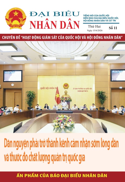 Số 11 Chuyên đề "Hoạt động giám sát của Quốc hội và Hội đồng Nhân dân"