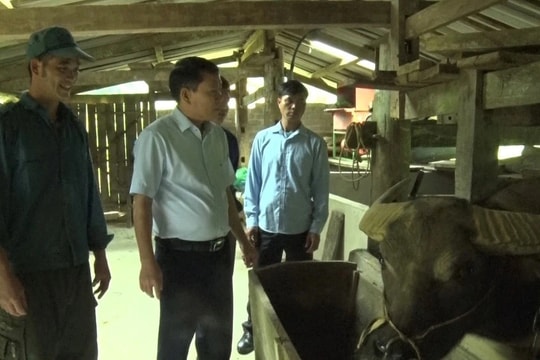 Nỗ lực cải thiện đời sống nhân dân nơi địa đầu Tổ quốc Bài 2: Công cuộc xoá đói, giảm nghèo bền vững