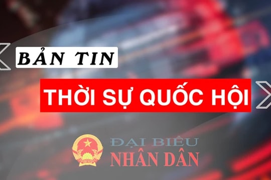 Bản tin Thời sự Quốc hội ngày 21.8.2024