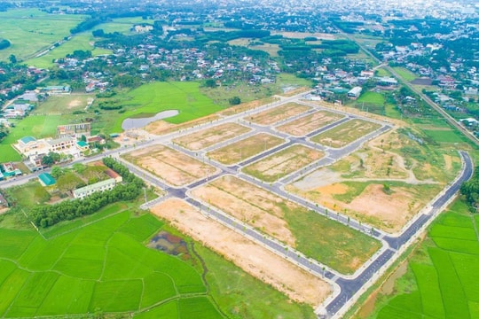 Công dân được trực tiếp thực hiện quyền giám sát trong quản lý, sử dụng đất qua hình thức nào?