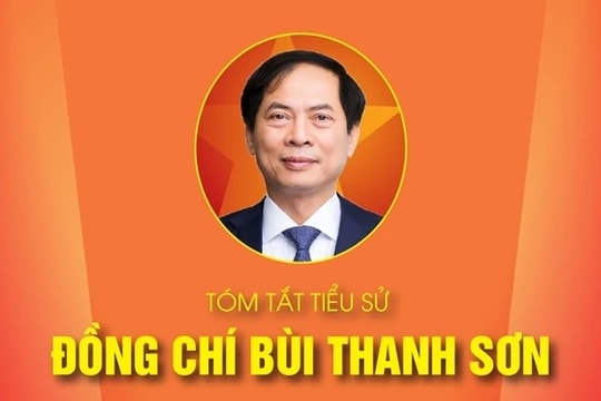 TÓM TẮT TIỂU SỬ ĐỒNG CHÍ BÙI THANH SƠN - PHÓ THỦ TƯỚNG CHÍNH PHỦ NHIỆM KỲ 2021-2026