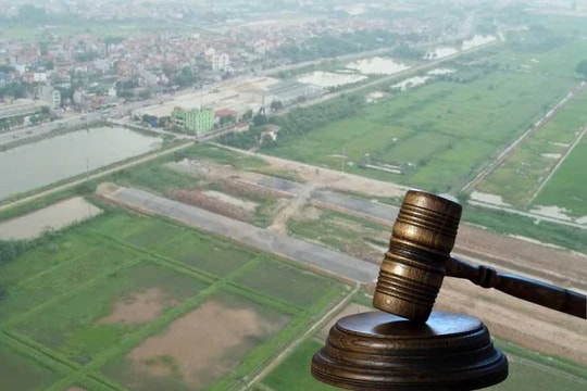 Thông đồng nâng giá trong đấu giá đất bị xử phạt thế nào?