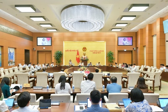 Cần xác định vị trí dành cho hoạt động tuyên truyền, quảng cáo không có mục đích sinh lời