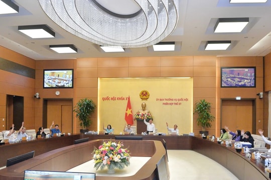 NGHỊ QUYẾT Về việc sắp xếp đơn vị hành chính cấp huyện, cấp xã của tỉnh Quảng Ninh giai đoạn 2023 - 2025