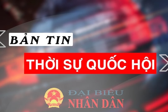 Bản tin Thời sự Quốc hội ngày 18.10.2024