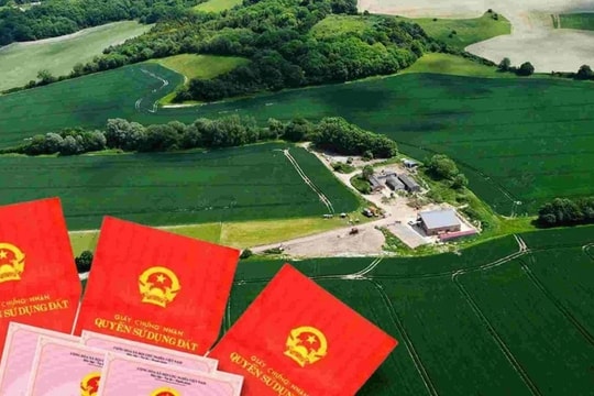 Điều kiện chuyển đổi quyền sử dụng đất đối với cá nhân sử dụng đất nông nghiệp được Nhà nước giao?