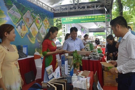 Hỗ trợ doanh nghiệp trong phân phối, tiêu thụ hàng hóa, mở rộng thị trường 
