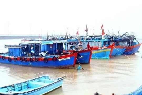 Quang Binh's border guards launch full-scale operation to combat IUU fishing