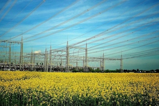Government of Serbia adopts changes to Law on Energy
