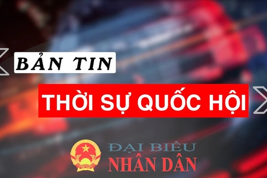 Bản tin Thời sự Quốc hội ngày 15.11.2024