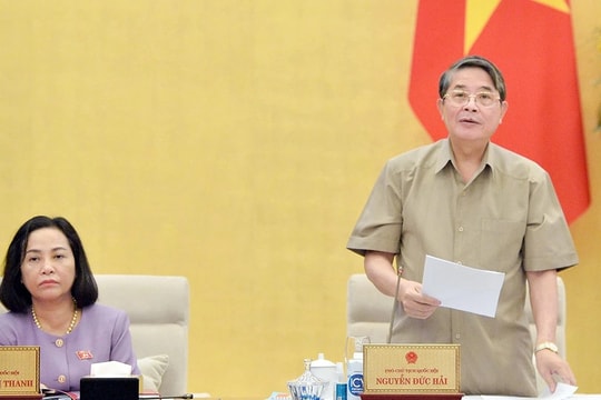 Giao Chính phủ hướng dẫn mức hỗ trợ kinh phí của tổ chức, cá nhân khai thác khoáng sản