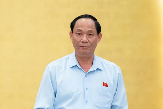 Chỉ quy định mang tính nguyên tắc đối với những vấn đề mới