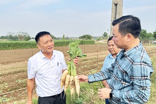 Nâng cao chất lượng, mẫu mã với mục tiêu hàng Việt Nam chinh phục người Việt Nam 