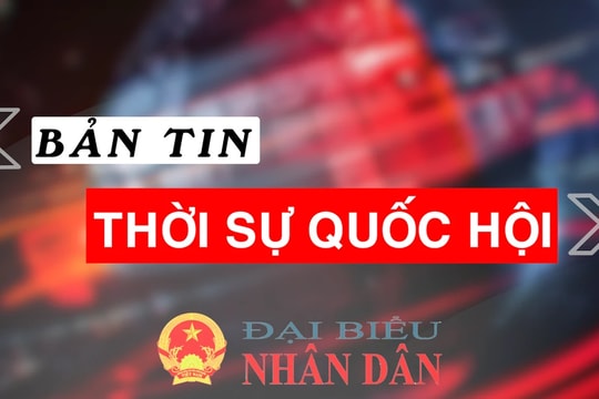 Bản tin Thời sự Quốc hội ngày 23.11.2024