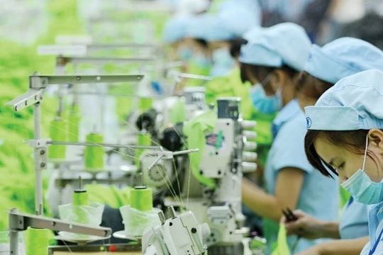 Xanh hóa, số hóa ngành dệt may Việt Nam