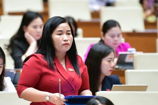 Rõ trách nhiệm, tránh đùn đẩy trong quản lý hoạt động quảng cáo