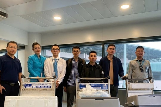 Chuyến bay đặc biệt của Vietnam Airlines nối tiếp sứ mệnh “hồi sinh”